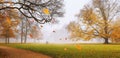 Autumn landscape - view of a foggy autumn park with paths and wooden benches Royalty Free Stock Photo