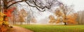 Autumn landscape - view of a foggy autumn park with paths and wooden benches Royalty Free Stock Photo