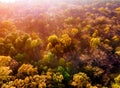 Autumn landscape view from height of autumn yellowed forest at early morning Royalty Free Stock Photo