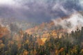 Autumn landscape - view of the mountains covered with forest under the autumn sky in the Carpathians Royalty Free Stock Photo