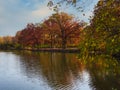 Autumn Landscape View from Park with Fall Colored Trees with Leaves Royalty Free Stock Photo