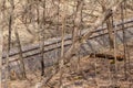 Autumn landscape view of railroad tracks at the bottoms of a wooded ravine