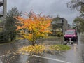 Autumn landscape in the village neighborhood of Wabern in the city of Bern