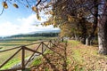 Autumn landscape of vine-yard with wood and italian mountains