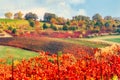 Autumn landscape, vineyards and hills at sunset. Modena, Italy