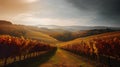 Autumn landscape with vineyards in Tuscany, Italy.