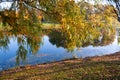 Autumn landscape - weeping willow branches in the foreground