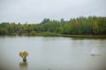 Autumn landscape with wide lake near the green forest. A nice calm lake with a small font in nature. Royalty Free Stock Photo