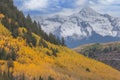 Autumn Aspens and Wilson Peak Royalty Free Stock Photo