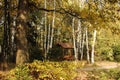 Autumn landscape: a wooden gazebo in the park. Autumn Park, wooden gazebo for relaxing among the birches