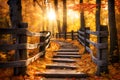 Autumn landscape with wooden path and golden sunlight