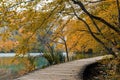 Autumn landscape with a wooden path at Plitvice Lakes National Park, Croatia Royalty Free Stock Photo