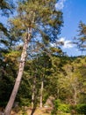 Autumn landscape in Wuling Farm