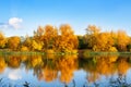 Autumn landscape, yellow leaves trees on river bank on blue sky and white clouds background on sunny day, reflection in water Royalty Free Stock Photo