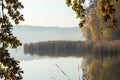 Autumn landscape with yellow oak leaves on a background of lake