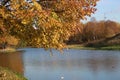 Autumn landscape , yellow tree branch over the lake