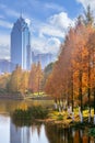 Autumn landscape of Yinzhou Park, Ningbo, China