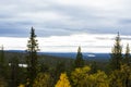 Autumn landscape in Yllas Pallastunturi National Park, Lapland, Finland