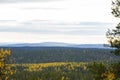 Autumn landscape in Yllas Pallastunturi National Park, Lapland, Finland