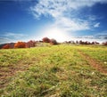 Autumn landscapes Royalty Free Stock Photo