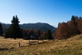 Autumn landscapes in the mountains with wooden fence, grass and tall trees Royalty Free Stock Photo