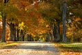 Autumn Lane Royalty Free Stock Photo