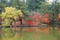 Autumn Laves at Nara Park Royalty Free Stock Photo