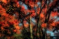 Autumn Layered Abstract