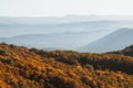 Autumn layered mountain landscape. Orange autumn forest and blue hill on horizon
