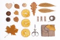 Autumn layout on white isolate, top view, dry fallen leaves, gift wrapping decor, autumn mood, thanksgiving background Royalty Free Stock Photo