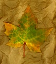 Autumn leaf