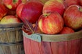 autumn leaf with apples in baskets