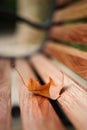 Autumn leaf on the bench. Autumn leaf fall