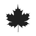 Autumn Leaf Black Silhouette Icon Isolated White Royalty Free Stock Photo