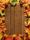 Autumn leaf border Royalty Free Stock Photo