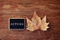 Autumn leaf and chalkboard with the word autumn Royalty Free Stock Photo