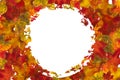 Autumn Leaf Circle Background