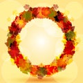 Autumn leaf circular border Royalty Free Stock Photo