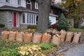 autumn leaf collection bags