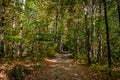 Autumn Leaf Color Change Cuyahoga National Park Ohio Royalty Free Stock Photo