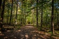 Autumn Leaf Color Change Cuyahoga National Park Ohio Royalty Free Stock Photo