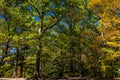 Autumn Leaf Color Change Cuyahoga National Park Ohio Royalty Free Stock Photo