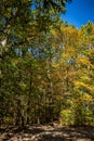 Autumn Leaf Color Change Cuyahoga National Park Ohio Royalty Free Stock Photo