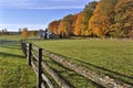 Autumn leaf color of a horse farm in Ontario, Canda