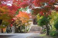 Autumn leaf color at Komyoji Temple in Nagaokakyo, Kyoto, Japan. The Temple originally built in 1198 Royalty Free Stock Photo