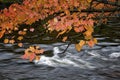 Autumn leaf color with stream and flowing water Royalty Free Stock Photo