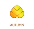 Autumn leaf colorful icon