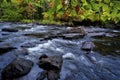 Autumn leaf colour with a long exposure of stream and flowing water Royalty Free Stock Photo