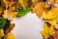 Autumn leaf composition, paper sheet. Studio shot. Royalty Free Stock Photo