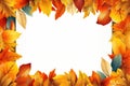 Autumn leaf composition with picture frame. Royalty Free Stock Photo